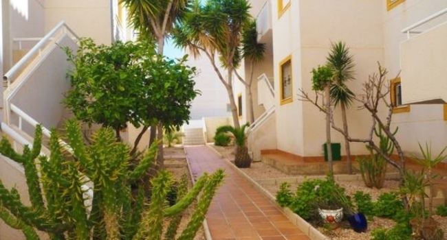 Недвижимость в Испании, Квартира c видами на море в Торревьеха,Коста Бланка,Испания